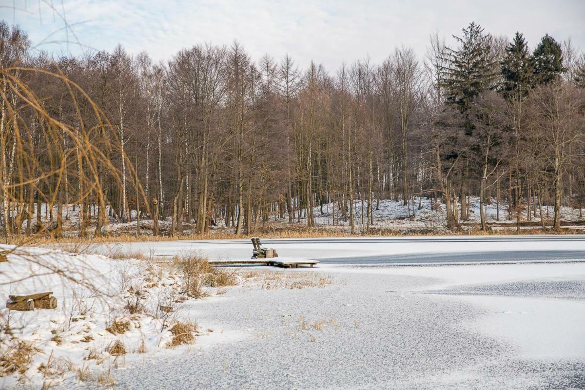Wypoczynek Na Kaszubach Przy Jeziorach I Lasach Mokrzyn Luaran gambar
